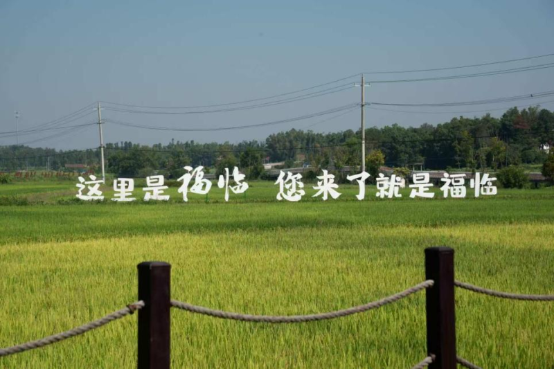 wlx-20250916fl-2.png